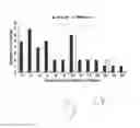 Fig. 17 - METHOD FOR QUANTIFYING COLLAGEN FIBER ALIGNMENT IN PERIPROSTHETIC TISSUE