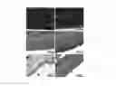 Fig. 20 - METHOD FOR QUANTIFYING COLLAGEN FIBER ALIGNMENT IN PERIPROSTHETIC TISSUE