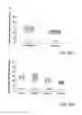 Fig. 23 - METHOD FOR QUANTIFYING COLLAGEN FIBER ALIGNMENT IN PERIPROSTHETIC TISSUE