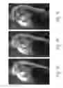 Fig. 04 - Image-based waveform parameter estimation