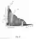 Fig. 05 - Image-based waveform parameter estimation