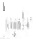 Fig. 09 - Constraint relationship for use in an image segregation