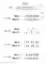 Fig. 03 - Program-disturb decoupling for adjacent wordlines of a memory device