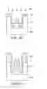 Fig. 06 - Interconnect structure and manufacturing method thereof
