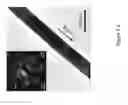 Fig. 07 - Nanowires and Methods of Forming