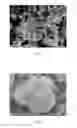 Fig. 03 - LITHIUM-METAL OXIDE NANOPARTICLES, PREPARATION METHOD AND USE THEREOF