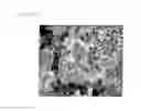 Fig. 08 - Negative electrode active material for lithium ion secondary battery, method for producing the same, negative electrode, and battery