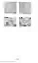 Fig. 07 - Electro-catalytic conformal coatings and method for making the same