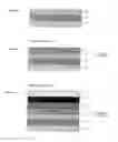 Fig. 04 - Battery of lithium-ion type with a cathode of varying porosity, and a corresponding method