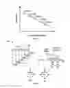 Fig. 02 - Time-domain based composite modulation for spectrally efficient optical networks