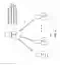 Fig. 11 - COMMUNICATION BETWEEN SOCIAL NETWORK CIRCLES