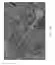 Fig. 16 - Location Agent Geofence