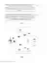 Fig. 02 - Method and apparatus for scheduling user equipment on full-duplex cellular network