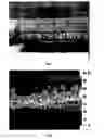 Fig. 09 - Heat transfer component with dendritic crystal structures and purpose and method of use for such a component