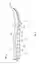 Fig. 09 - Sole with projections and article of footwear
