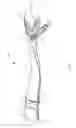Fig. 02 - BEDDING CLIP ASSEMBLY