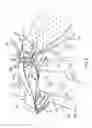Fig. 07 - BEDDING CLIP ASSEMBLY