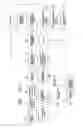 Fig. 02 - Electrical discharge irrigator apparatus and method