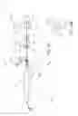 Fig. 22 - METHOD AND APPARATUS FOR RECAPTURING AN IMPLANT FROM THE LEFT ATRIAL APPENDAGE