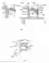 Fig. 02 - Voice prosthesis