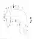Fig. 09 - Gastric devices, systems, and methods
