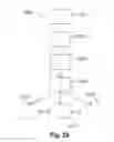 Fig. 35 - Gastric devices, systems, and methods