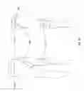 Fig. 22 - Orthopedic device for treating complications of the hip