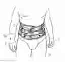 Fig. 01 - GIRDLE