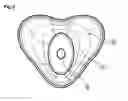 Fig. 03 - Women's portable urinal