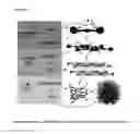 Fig. 07 - SOLID DRESSING FOR TREATING WOUNDED TISSUE