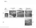 Fig. 08 - Cosmetic composition from fish hatching fluid, methods for its production and uses thereof for improving the cosmetic appearance of skin