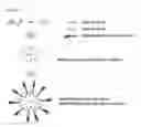 Fig. 02 - Method of preparing composition for delivering an anionic drug