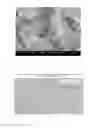 Fig. 02 - Composition