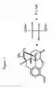 Fig. 02 - Pharmaceutical compositions