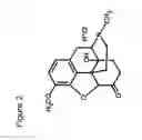 Fig. 03 - Pharmaceutical compositions