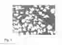 Fig. 03 - PHARMACEUTICAL PREPARATIONS