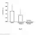 Fig. 07 - POLYMERIC PARTICLES-BASED TEMOZOLOMIDE DOSAGE FORM