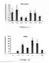 Fig. 02 - Methods of treating hepatic fibrosis and associated diseases by regulating Rev-ERB activity