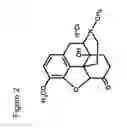 Fig. 03 - Pharmaceutical compositions
