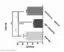 Fig. 17 - COMPOUNDS FOR PROTECTION OF PHOTORECEPTOR CELLS AND FOR ENHANCING VISUAL FUNCTION UNDER LOW LIGHT CONDITIONS