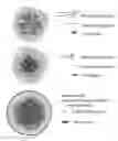 Fig. 01 - PROSTACYLIN COMPOSITIONS AND METHODS FOR USING THE SAME