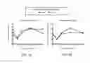 Fig. 02 - Use of bisphosphonates as HIV/AIDS adjunctive treatment
