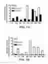 Fig. 03 - Stilbenoid Derivatives And Their Uses
