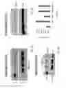 Fig. 05 - Methods of inducing read-through of a nonsense mutation associated with ataxia telangiectasia, Rett syndrome or spinal muscular atrophy by erythromycin or azithromycin