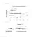 Fig. 04 - Apoptosis-inducing agent