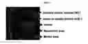 Fig. 02 - Compositions for Improving the Development of Arteriosclerotic Vascular Diseases