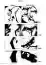 Fig. 09 - Compositions for Improving the Development of Arteriosclerotic Vascular Diseases