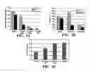 Fig. 04 - METHODS FOR TREATING VIRAL DISORDERS