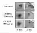 Fig. 01 - COMPOSITIONS AND METHODS COMPRISING TOLL LIKE RECEPTOR (TLR) STIMULATING AGENTS FOR PROPHYLAXIS AND THERAPY FOR DAMAGE TO DERMAL EPITHELIUM