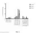 Fig. 02 - WT1 vaccine